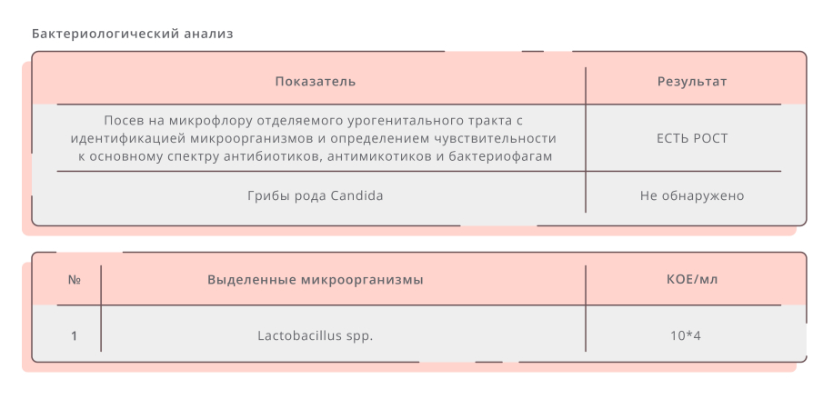 Пример бланка бактериологического анализа
