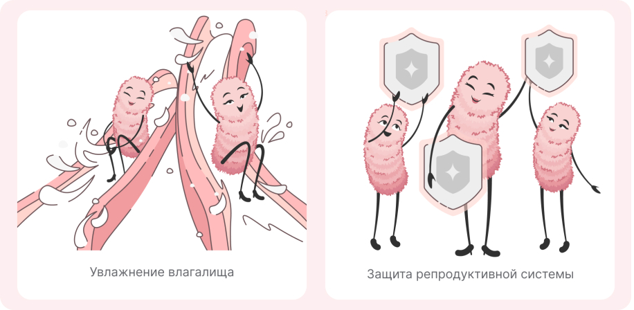 Функции влагалищных выделений