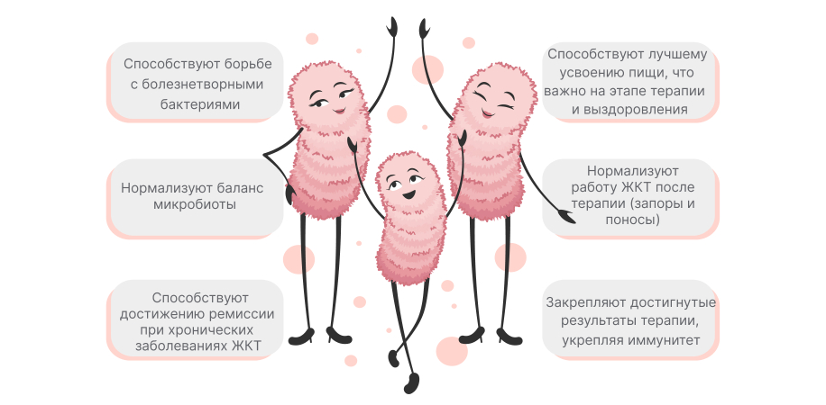 Функции лактобактерий